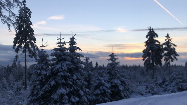 Ski-Langlauf-Treff "After-Work" - klassische Technik