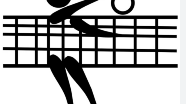 Teilnahme der Volleyball-Leistungsgruppe am 22. Volleyballturnier des SFC Harz-Weser