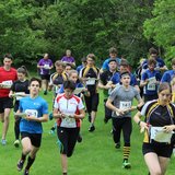 DHM Orientierungslauf am 20.06.2021