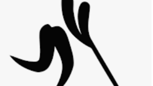 Hochschulmeisterschaft Floorball