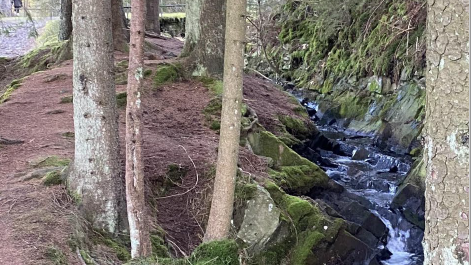 Results of the 2022 Kilometer Challenge