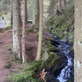 Results of the 2022 Kilometer Challenge